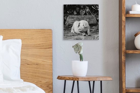 Cochon couché en toile noire et blanche 2cm