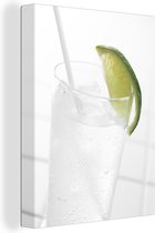 Un verre de gin tonic et des tranches de citron vert Toile 30x40 cm - petit - Tirage photo sur toile (Décoration murale salon / chambre)