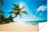 Poster Strand - Zee - Zon - Palmboom - 120x80 cm