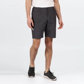 Regatta Delgado Outdoorbroek Mannen - Maat 44