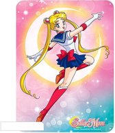 [Merchandise] ABYstyle Sailor Moon Metal Plate Sailor Moon