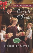 Little Falls Legacy 3 - The Gift Of Twins (Mills & Boon Love Inspired Historical) (Little Falls Legacy, Book 3)
