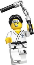 LEGO Minifigures Series 20 - Martial Arts jongen 10/16 - 71027