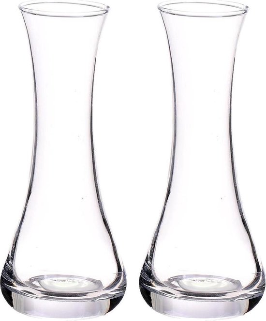 2x stuks smalle bloemenvaas/bloemenvazen glas 20 cm - Flessenvazen - glazen  vaas/vazen | bol.com