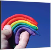 Dibond –Regenboog van Klei– 100x100 Foto op Aluminium (Met ophang)