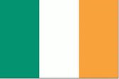 Ierse vlag 30x45cm