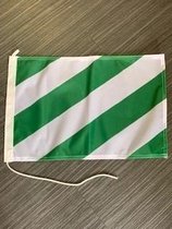 vlag groen/wit 30x45cm