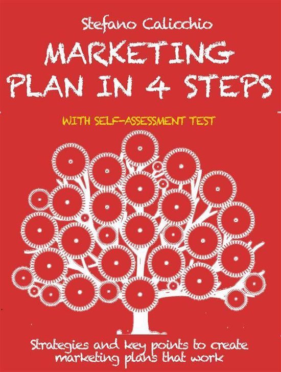 Marketing plan in 4 steps - cover