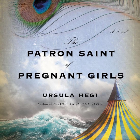The Patron Saint of Pregnant Girls - cover