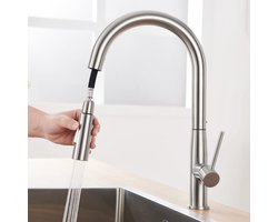 Auralum Max Keukenkraan met Uittrekbare Uitloop - Handdouche met Slang - Uittrekbaar - Mengkraan - Chrome - RVS