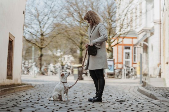 Klassieke, verstelbare reflecterende nylon hondenhalsband met een aparte lus voor
