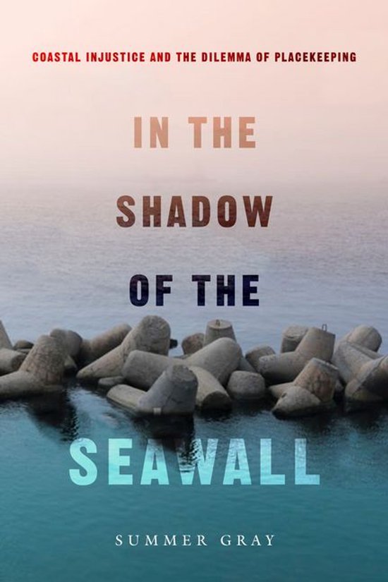In the Shadow of the Seawall - cover