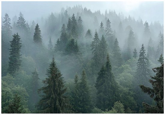 WallArena Vlies fotobehang - jungle - 368 x 254 cm