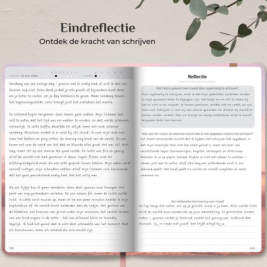 Systemyze Dagboek Volwassenen – Journal – A5 – Pink Sky