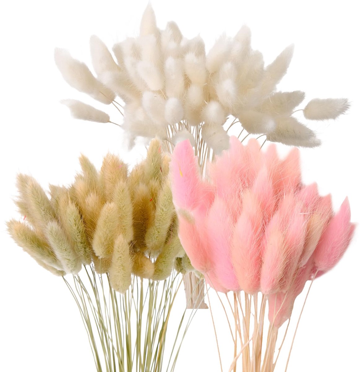 Ibenzoa Gedroogde Natuurlijke Bloemenmix van Pampasgras en Konijnenstaartgras voor Diverse Decoraties Wit, Lichtroze, Naturel