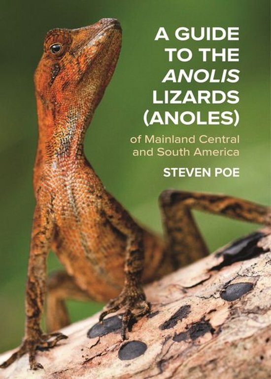 A Guide to the Anolis Lizards (Anoles) of Mainland Central a ... - cover