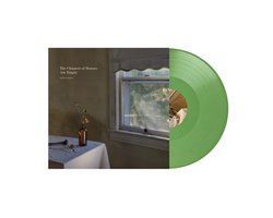 Carly Cosgrove - The Cleanest Of Houses Are Empty (LP)
