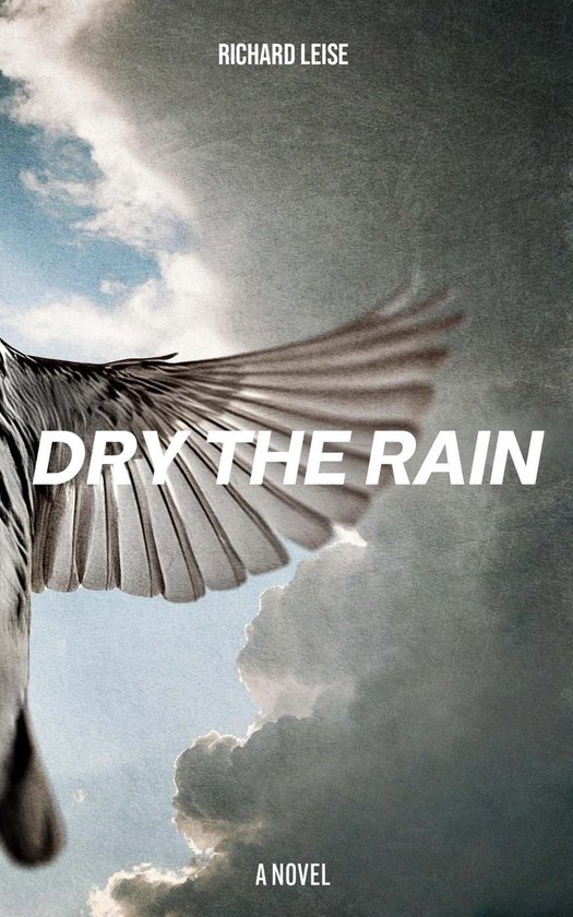 Dry The Rain - cover