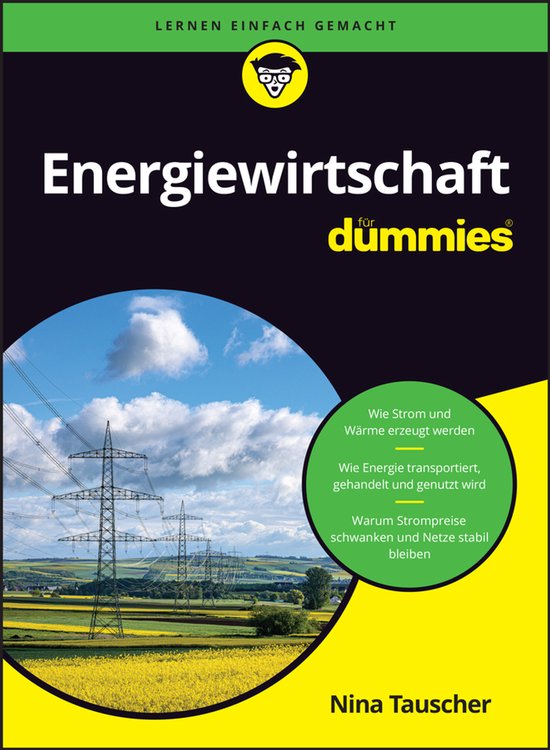 Für Dummies- Energiewirtschaft für Dummies - cover