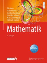 Boek "Mathematik" met auteurs en een kleurrijke, abstracte wiskundige formule op de rode omslag.