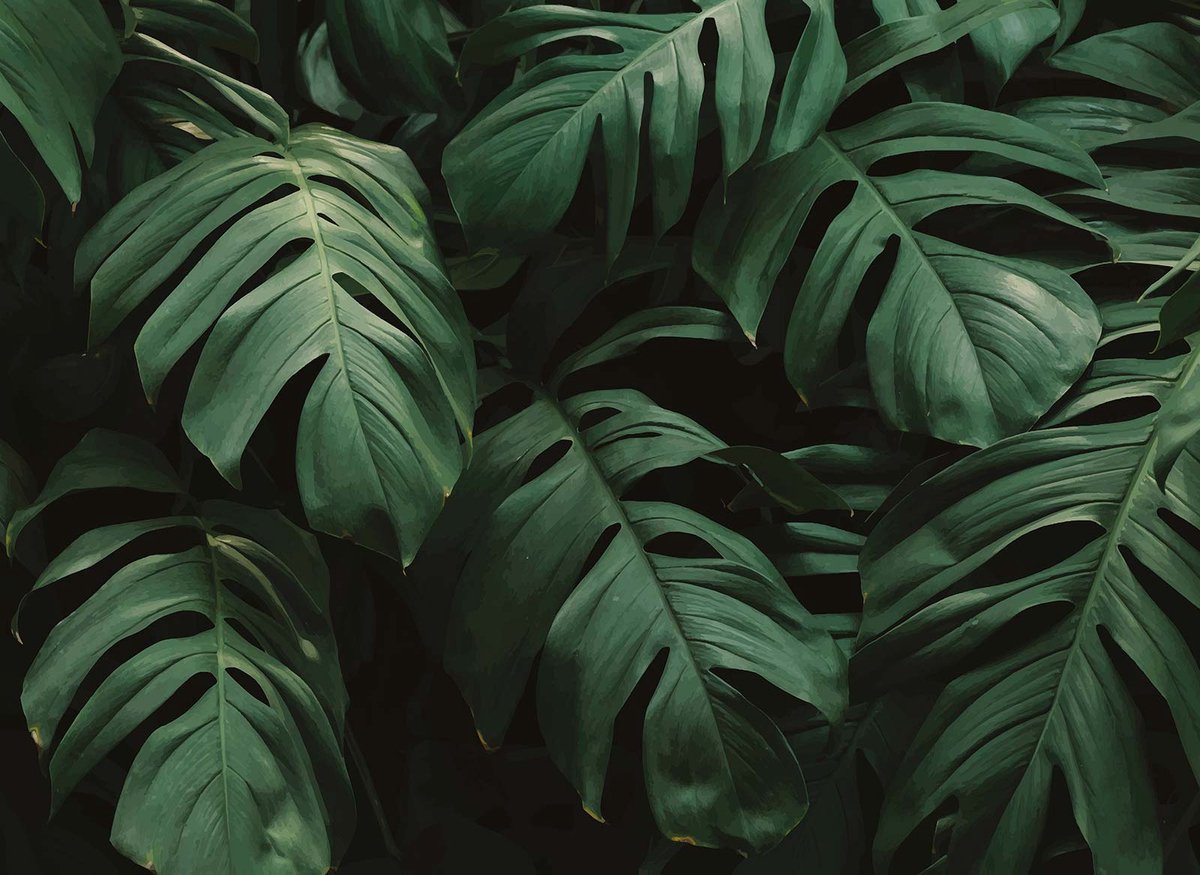Fototapete Designwalls 2 DD123484 JungleLeaves
