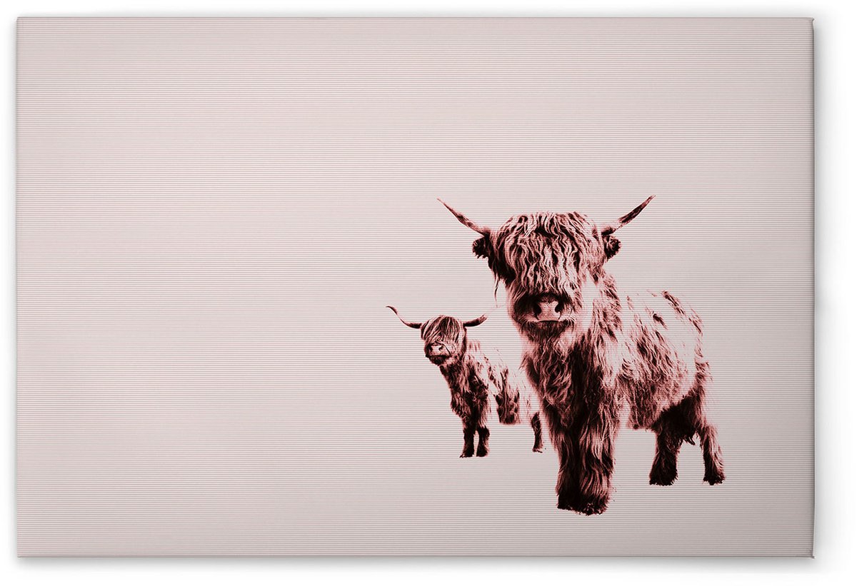 Canvas Highland Cows | DD132243