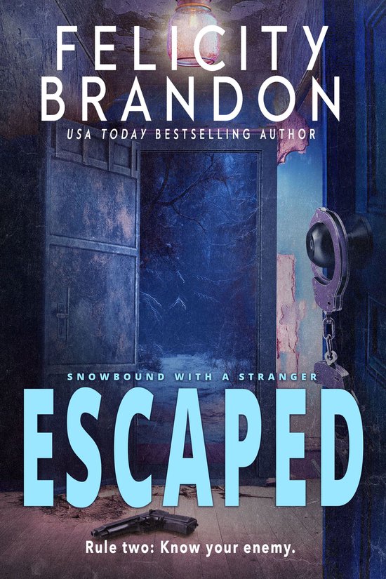 Snowbound with a Stranger 3 - Escaped