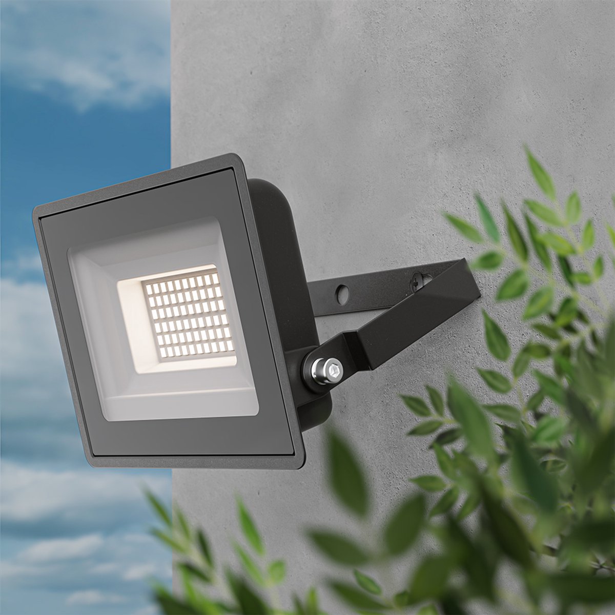 Led Breedstraler Met Sensor 50W | 6500K | 6000 Lumen | IP65 | Zwart Ldr02209 M1 Big