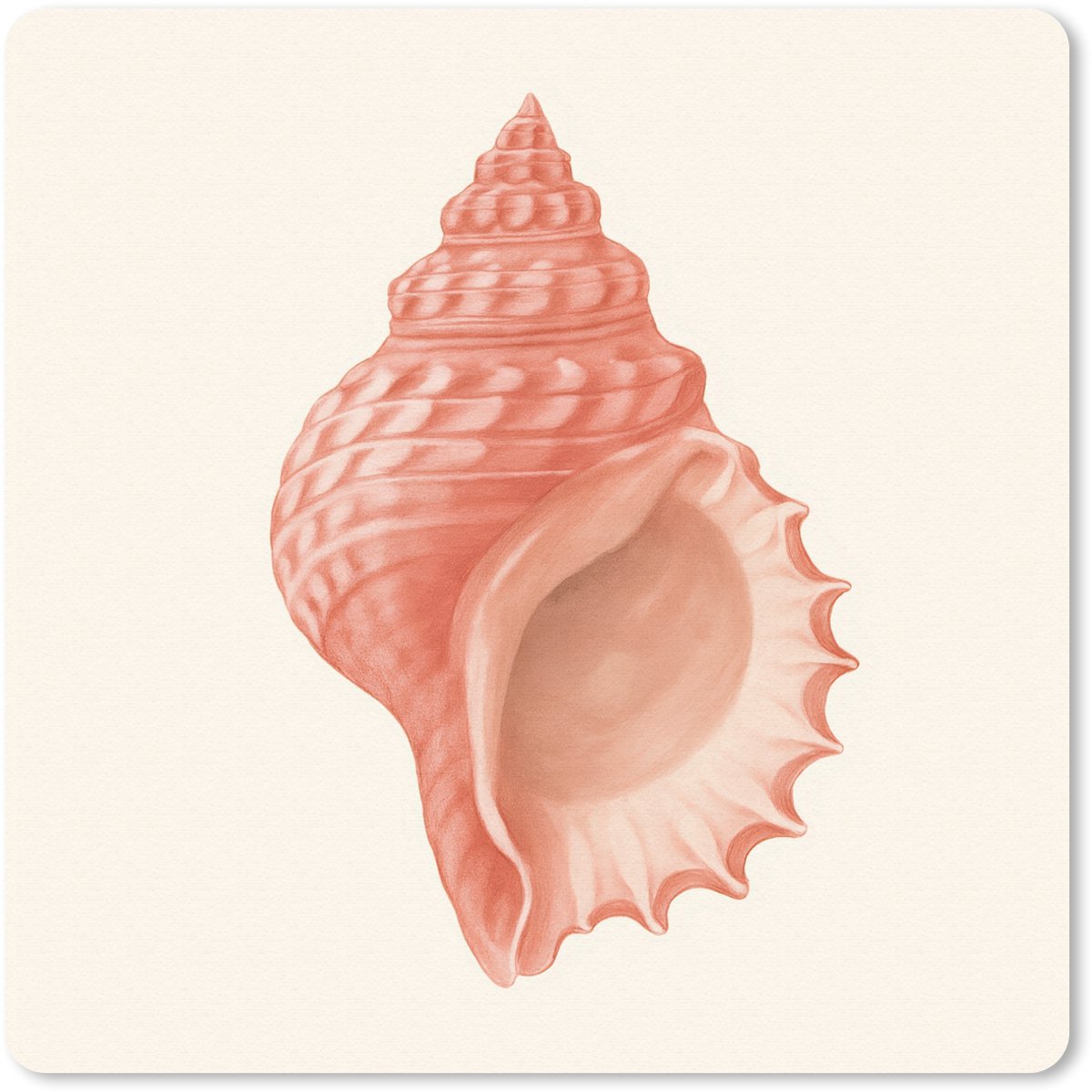 Muismat 30x30 cm - Mousepad Schelp - Roze - Structuur - Muismatten
