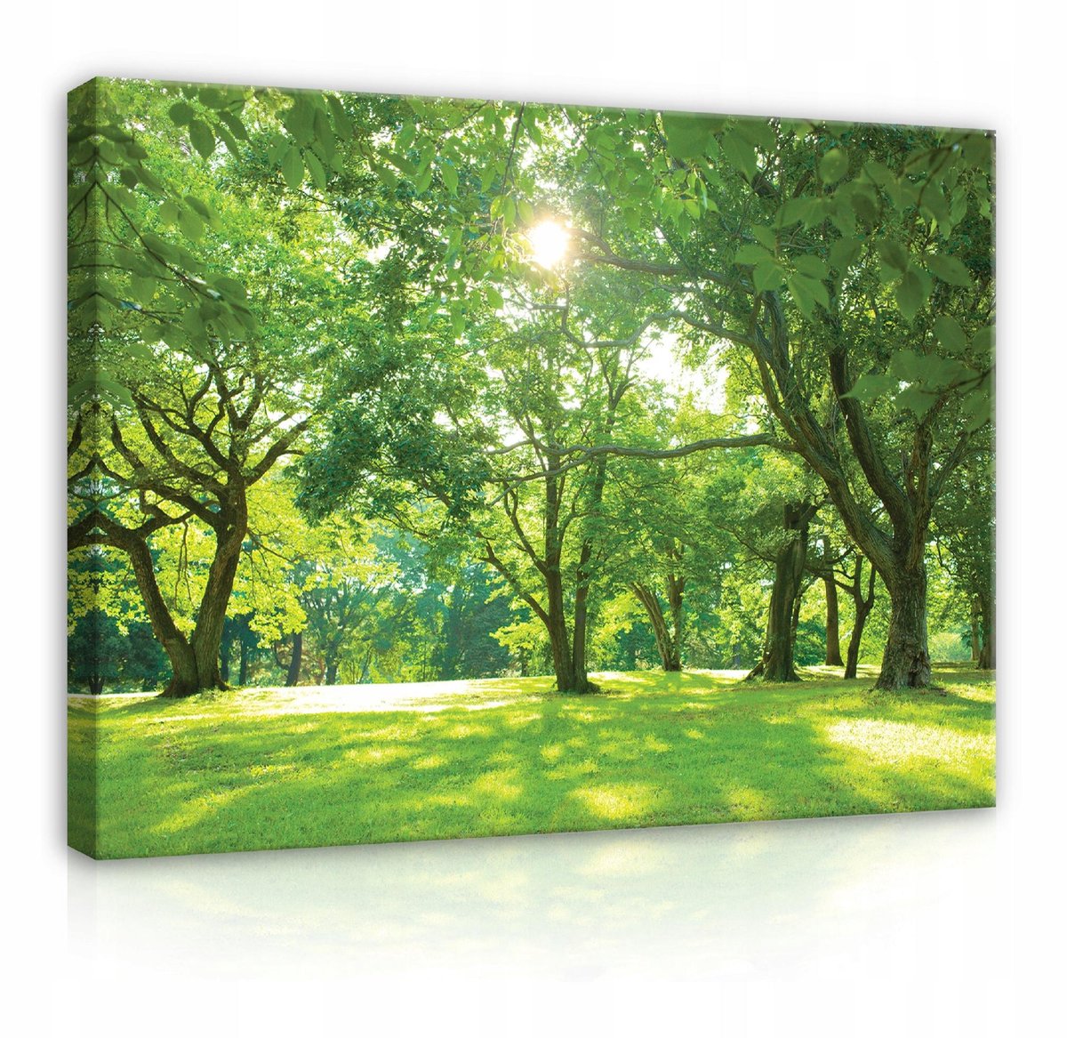 WALLARENA Canvas schilderij - 60x40 cm - Schilderij van bomen en natuur op een groot doek multikleurig
