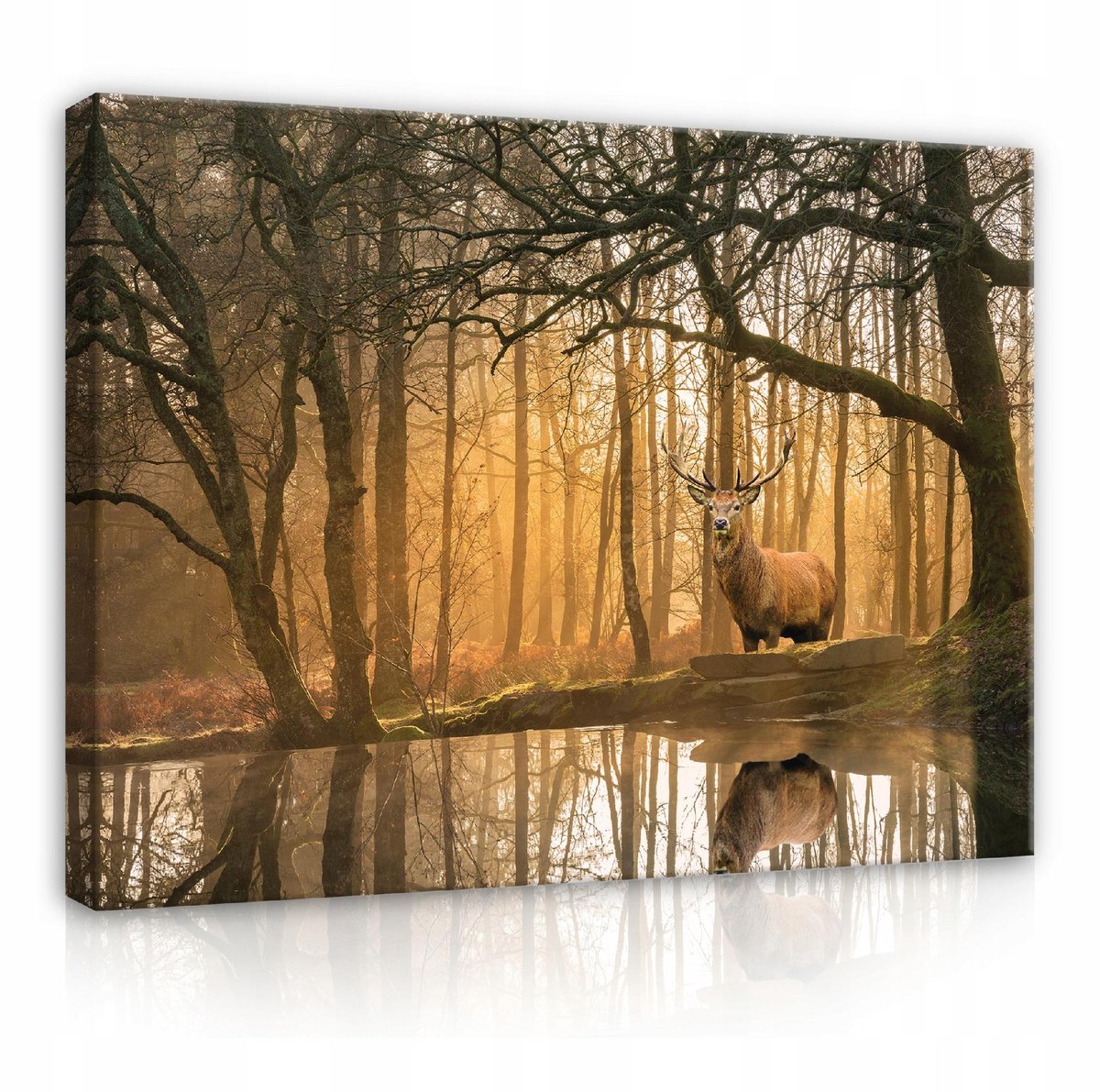 WALLARENA Canvas schilderij - 100x70 cm - afbeelding van een hert in het bos voor de slaapkamer multikleurig