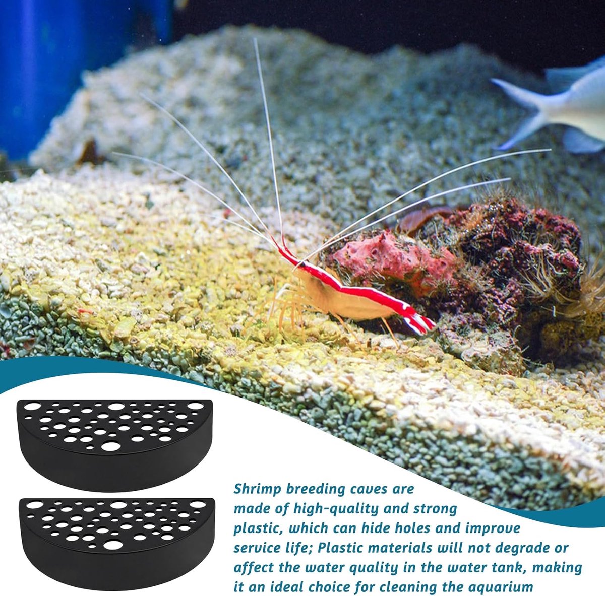 Fokken Garnalen Grot Aquarium Verbergen Fokken Garnalen Grot Aquarium Verbergen