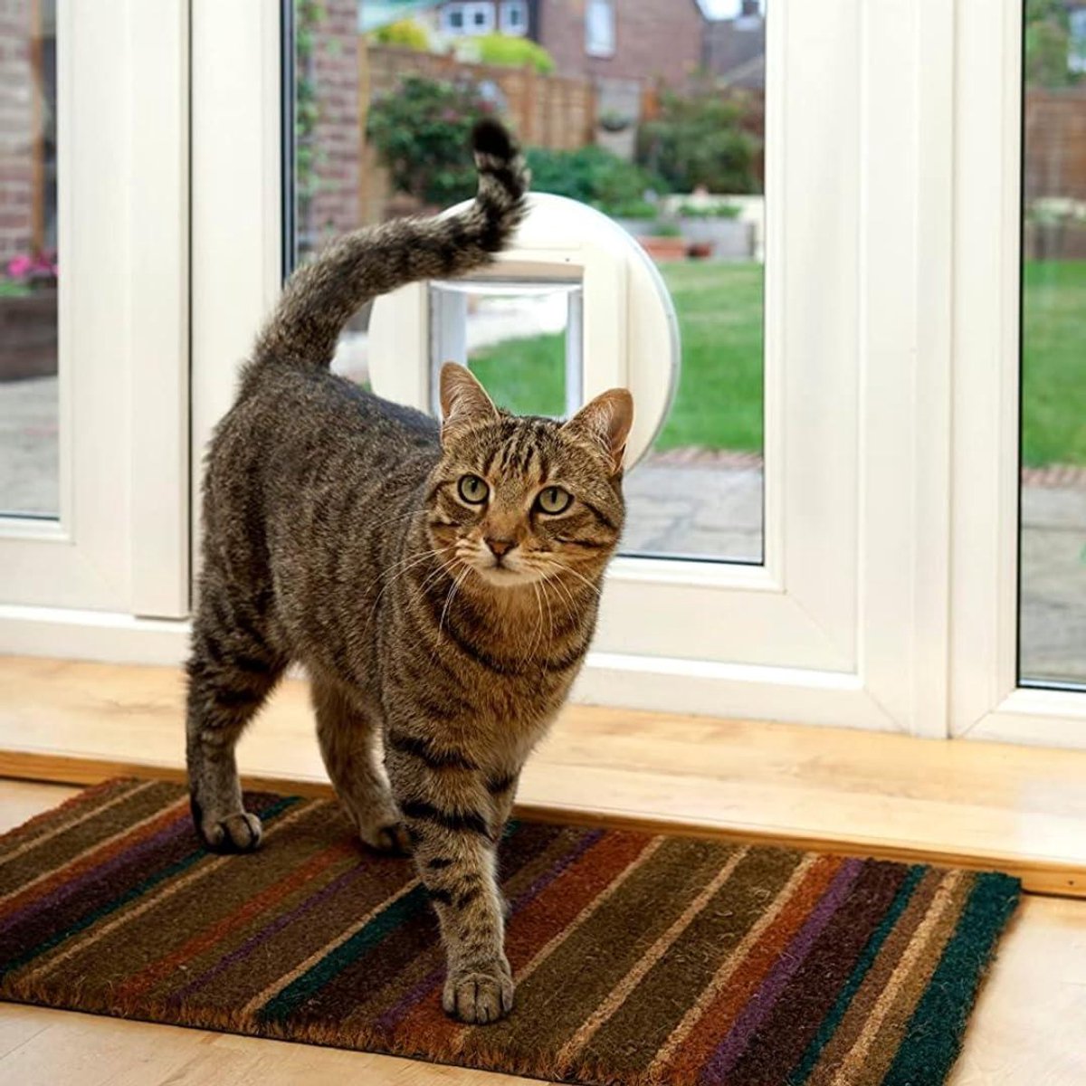 Cat Kattenluik met Microchip en RFID thumbnail 5