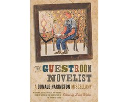 The Guestroom Novelist