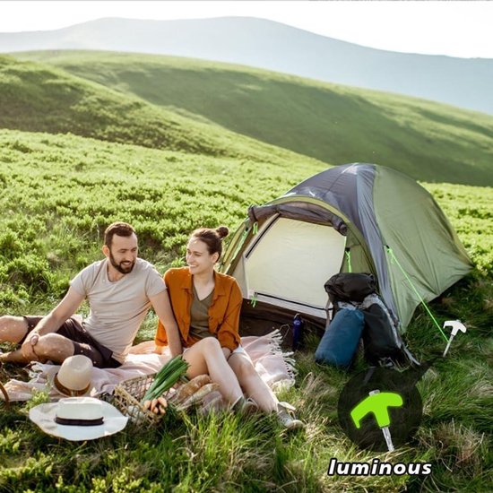 6 Stuks Robuuste U-vormige Grondankers Van 12 Inch - Verzinkt Staal Trampoline Windstokken Tentharingen Voor Camping Tenten Zilver