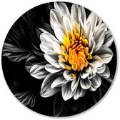 "Digitale bloem met gele kern" - Bloem muurcirkel - Wandobject rond dahlia - Digital Art - Forex wanddecoratie - Metalen wanddecoratie - muurcirkel forex 100x100 cm