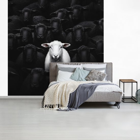 Behang - Fotobehang Schapen - Wit - Duisternis - Breedte 300 cm x hoogte 300 cm
