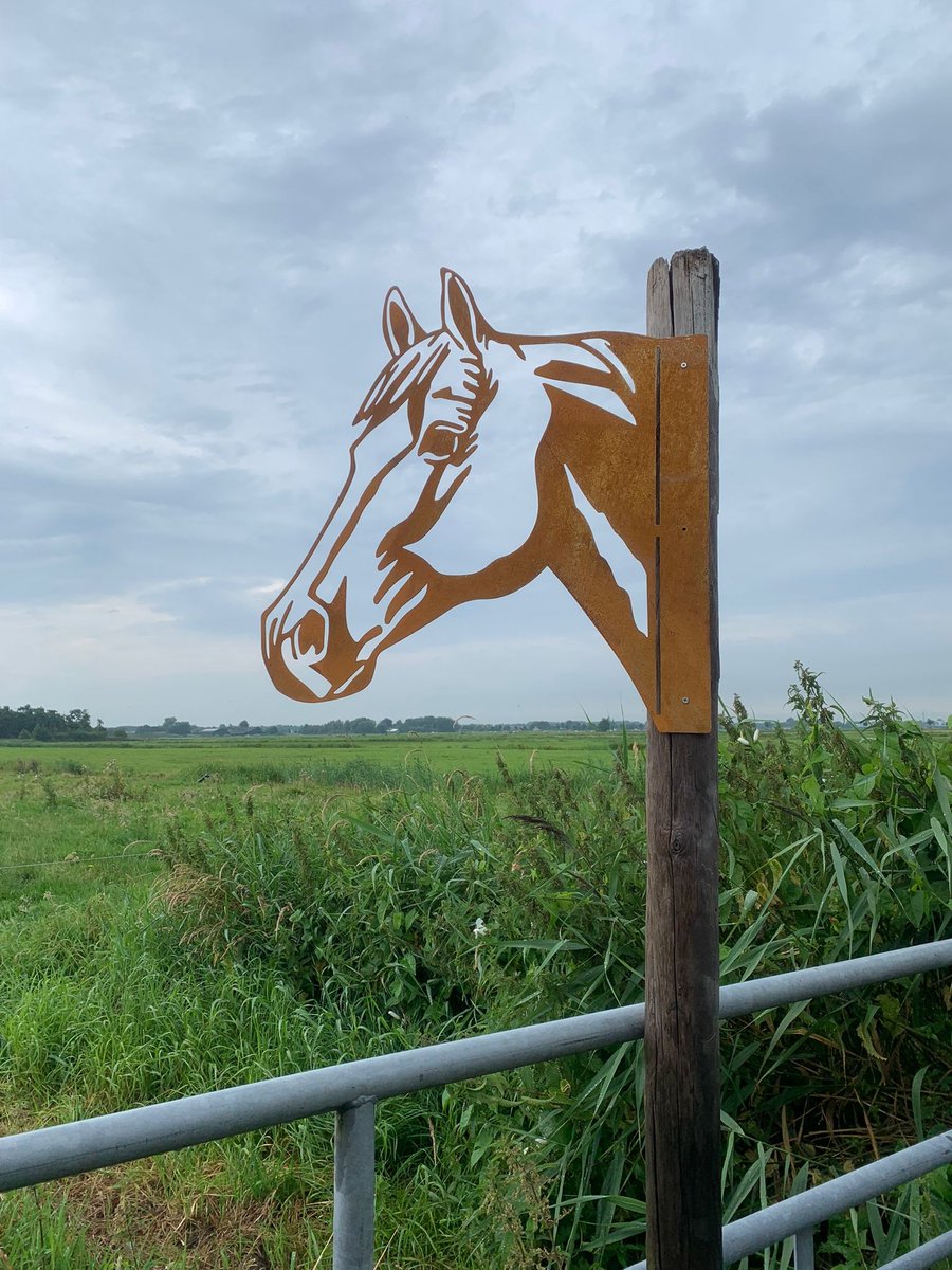 Metaalversiering.nl Metalen Dier - Paard - Tuindecoratie - Cortenstaal - Metaalversiering