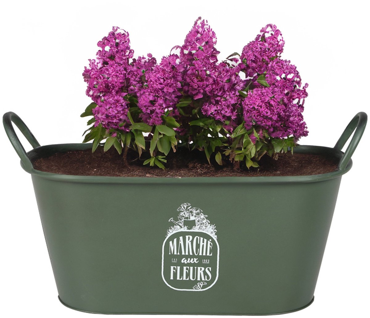 Sunnydays Teil/plantenpot/bloempot - zink - legergroen - L39 x B16 x H21 cm