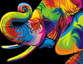 Mona Lisa Diamond painting kleurrijke olifant 40 x 30 cm
