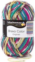 Schachenmayr Bravo Color 50 Gram - 2084