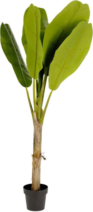 Kave Home - Kunstplant Bananen 160 cm