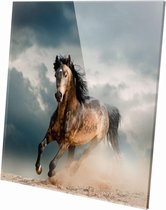 Paard | 60 x 60 CM | Wanddecoratie | Dieren op plexiglas | Schilderij | Plexiglas | Schilderij op plexiglas