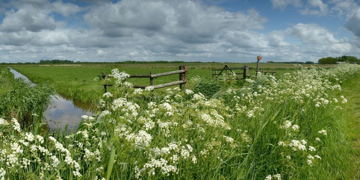 Fotobehang Arkenheem polder bij Nijkerk 250 x 260 cm - € 175,--