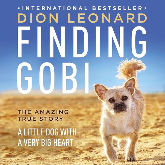 Finding Gobi - cover