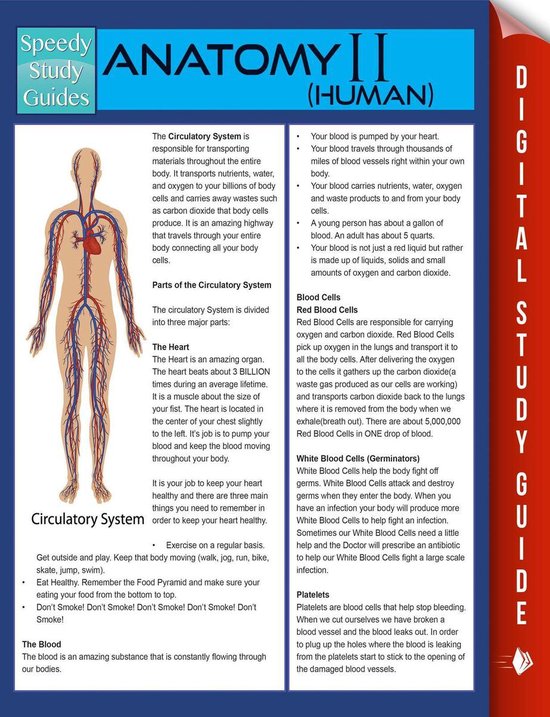 Anatomy II (Human) (Speedy Study Guides) - cover