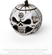 Alchemy - Pumpkin Skull Beeld/figuur - Creme