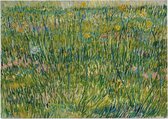 Grasgrond, Vincent van Gogh - Foto op Posterpapier - 59.4 x 42 cm (A2)