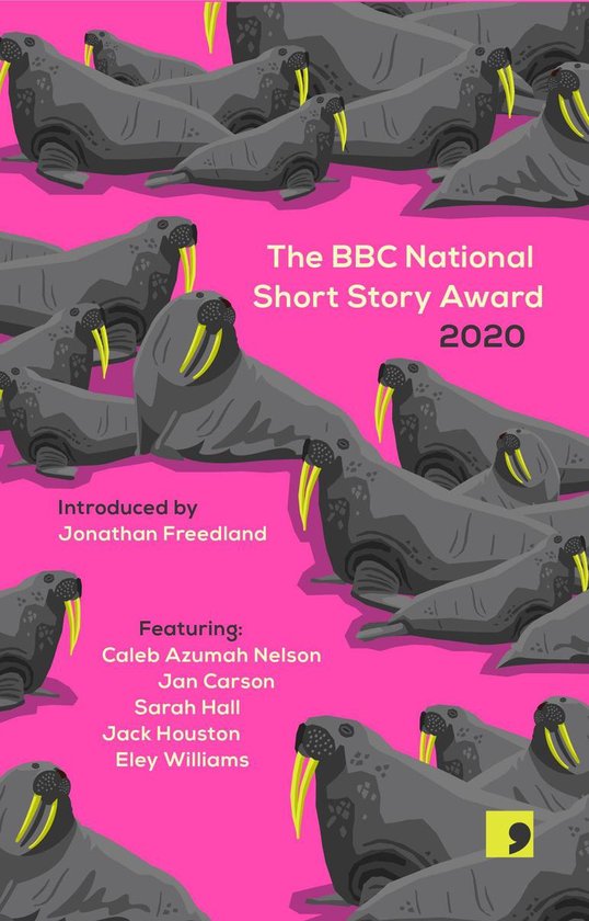 The Bbc National Short Story Award 2020 - cover
