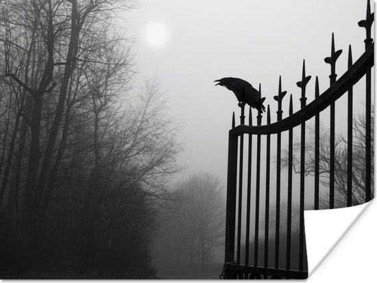 Kraai zit bovenop een zwart ijzeren hek in het zwart-wit poster 160x120 cm - Foto print op Poster (wanddecoratie woonkamer / slaapkamer) / Vogels Poster XXL / Groot formaat!